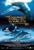 Delfíni a velryby 3D: Tuláci oceánů  [3D bluray]